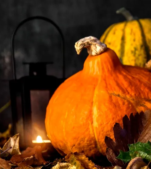 The Pattern of Necessity