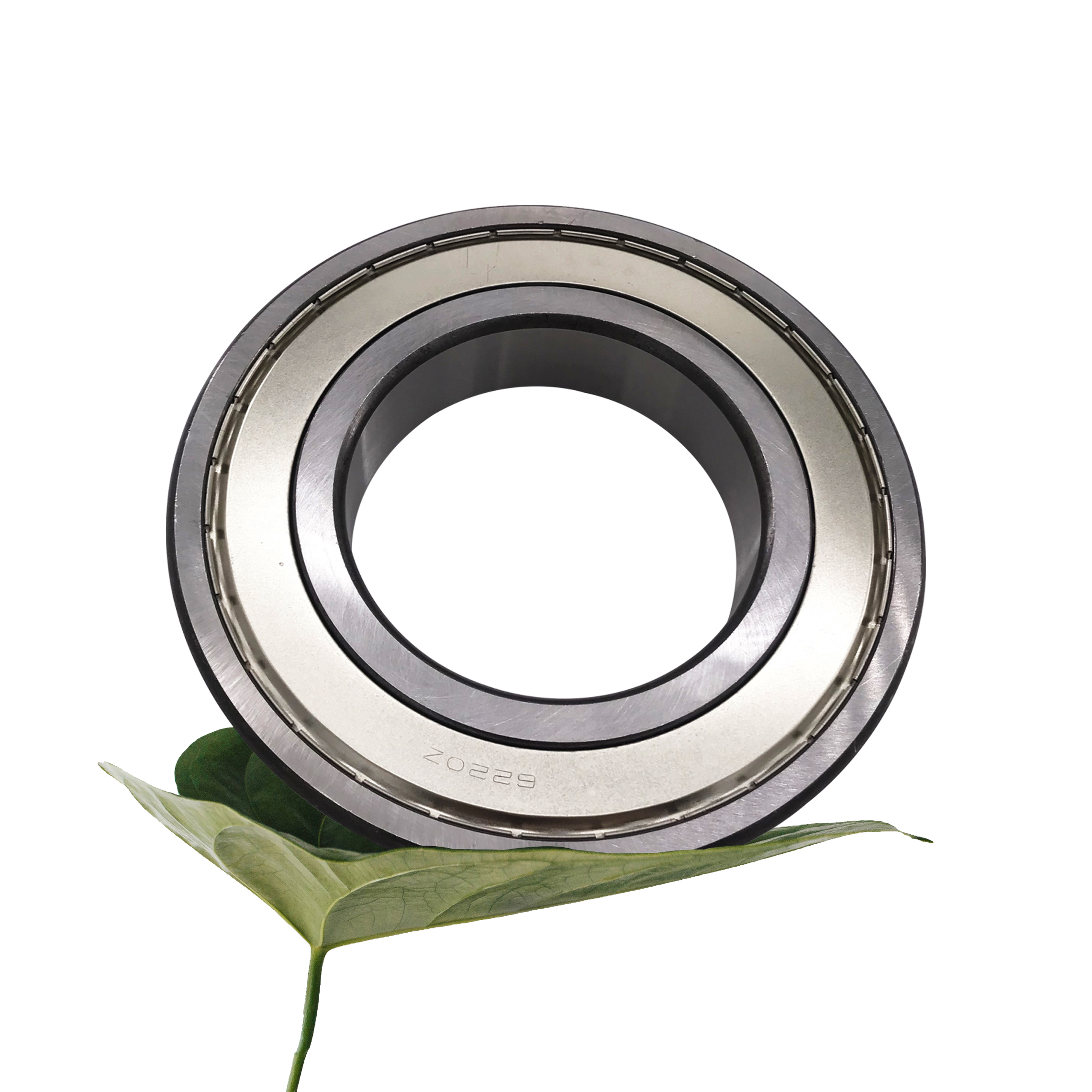 6000 Series with Deep Groove Ball Bearings 6000 Series with Deep Groove Ball Bearings