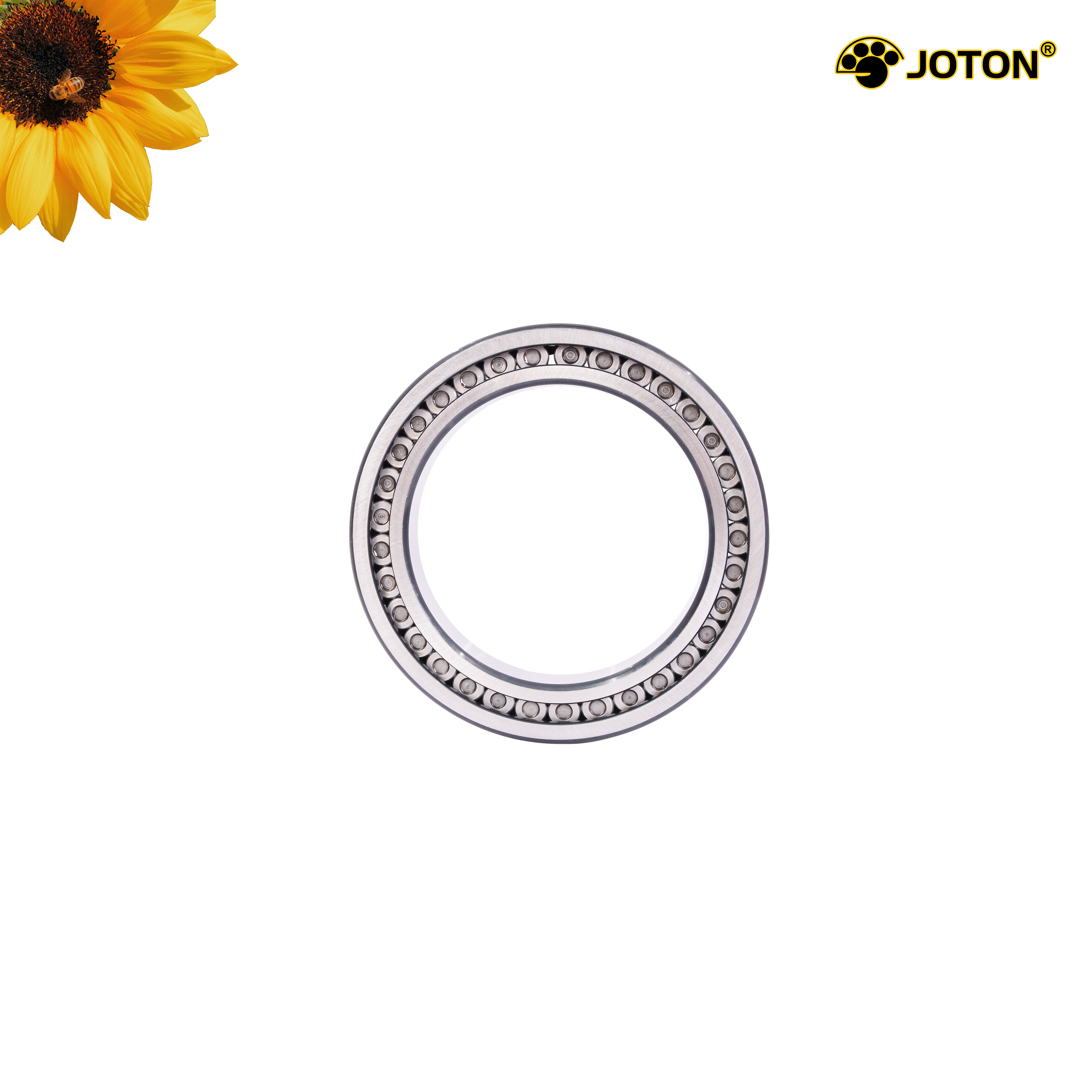 Cylindrical Roller Bearing