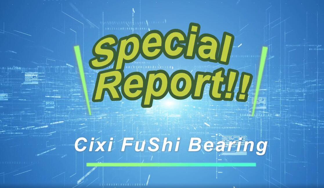 An excellent bycycle bearing producer exhibitor --Cixi FuShi Bearing