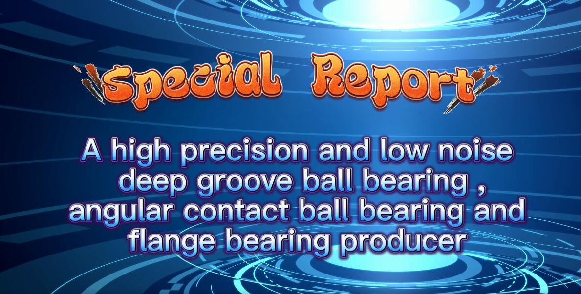 Expo report --A high quality and low noise Deep groove ball bearings ,High precision Angular contact ball bearings and NR bearings producer