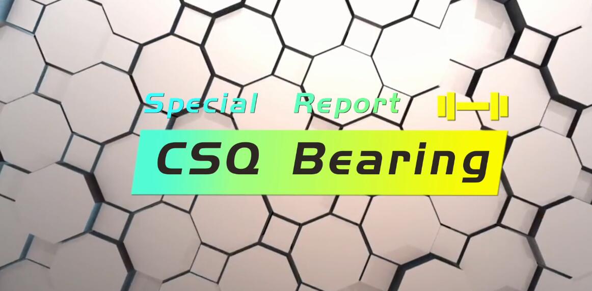 42-Year Ceramic Bearing exhibitor --CSQ Bearing