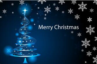 Merry Christmas from 20-Year Experienced Spherical Roller Bearing SJQ & Forging Manufacturer RDC