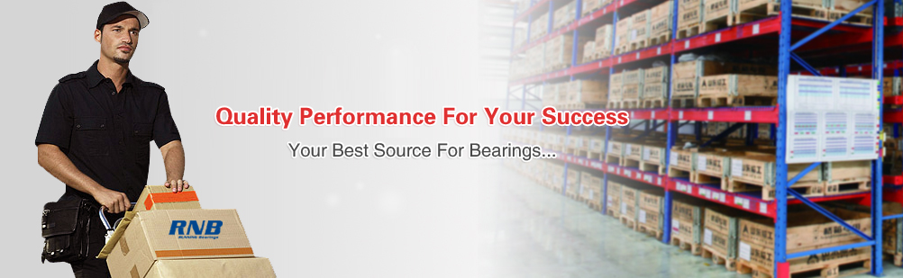 2024 Aug China Excellent Bearing Exporter Recommendation--RNB Bearing