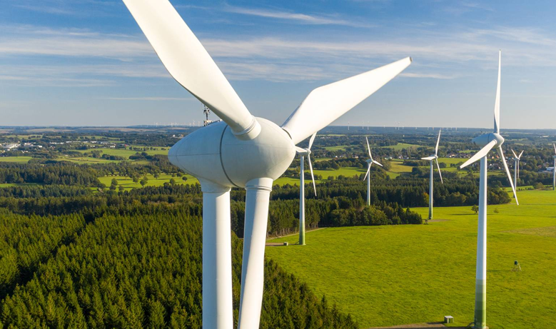 LYXQL bearing successfully mastered the key technology of soft strip-free quenching
