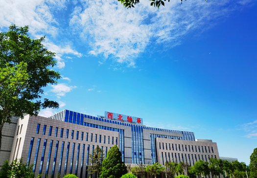 NXZ bearing Organizes Specialized Training on Lean 5S Visual Management