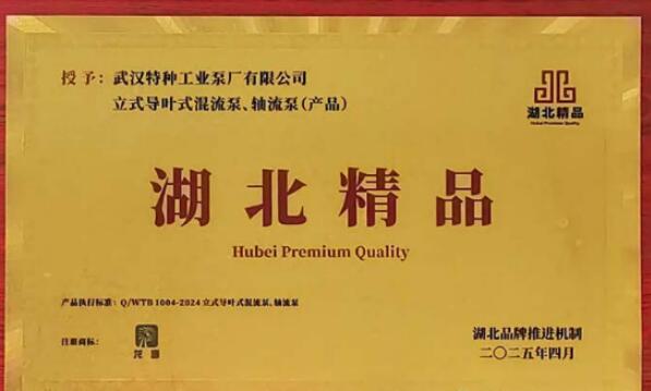 Vertical Mixed/Axial Flow Pumps from Wuhan Special Pump Win Hubei Premium Quality Title