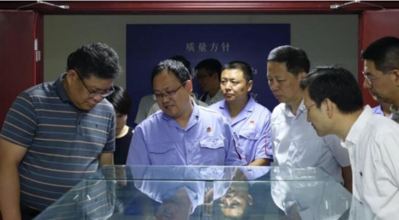 Deputy Director General Wang Hong of  MIIT Leads Delegation on Inspection Tour to ZYS