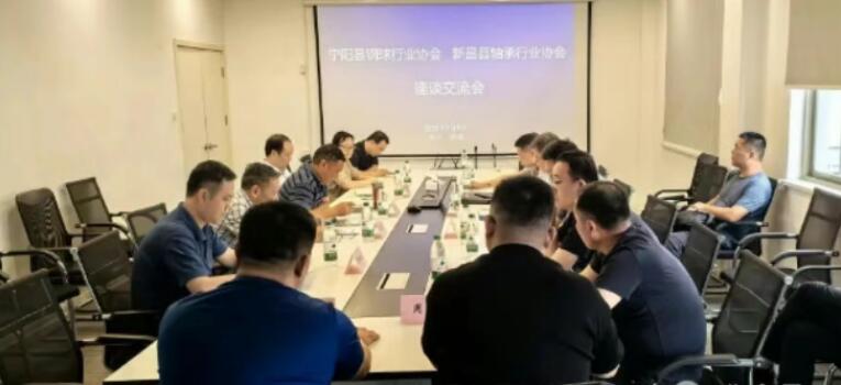 Xinchang Bearing Manufacturers and Ningyang Steel Ball Producers Conduct Partnership Talks