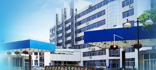 Global Leaders in Wind Turbine Gearbox Manufacturing