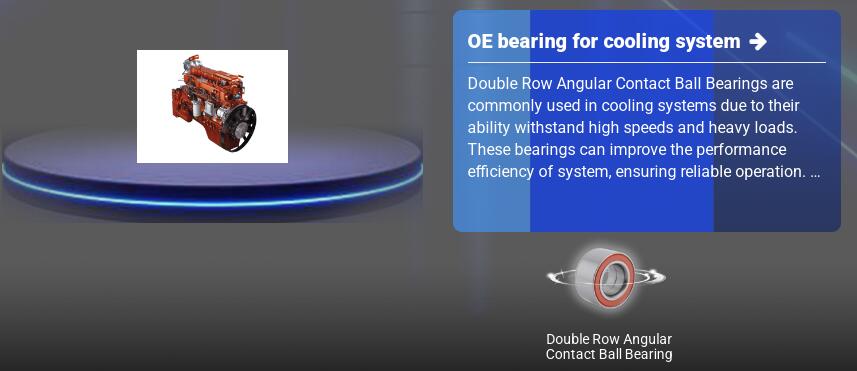 Double Row Angular Contact Ball Bearing