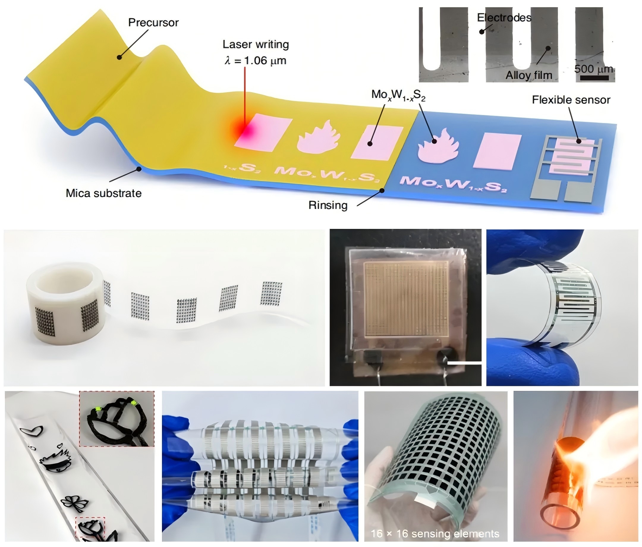 Series of Advances in Specialized Flexible Sensing by NPU Huang Wei  and Wang Xuewen