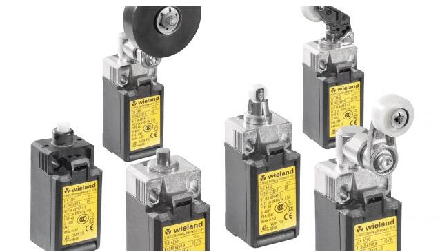 Wieland Safety Limit Switches