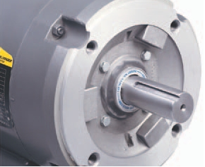 Bearing Protection Ring Protects Motor Bearings