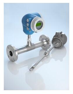 Endress+Hauser ProLine t-mass