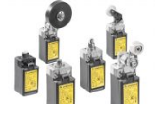 Wieland Safety Limit Switches