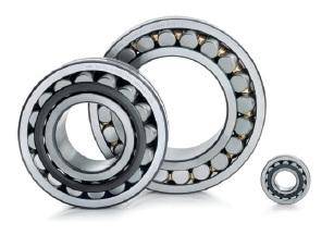 FAG Bearings keen to plug into Budget's infra focus