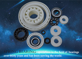 Full Ceramic Bearings