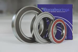 Electric Motor Quality (EMQ) Bearings