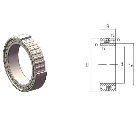 Double-row cylindrical roller bearing