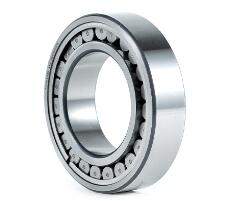 Toroidal Roller Bearing