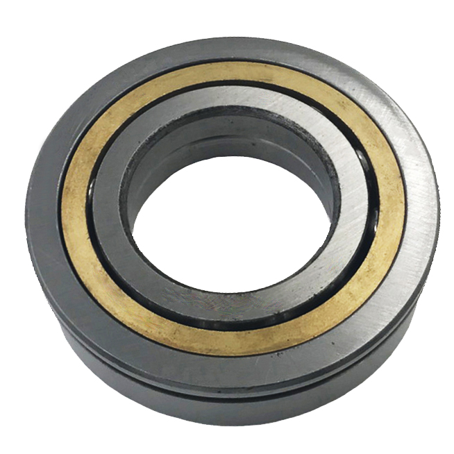 QJ 202 N2MA Bearing