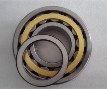 Cylindrical Roller Bearings N series