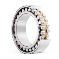 Double-row cylindrical roller bearings