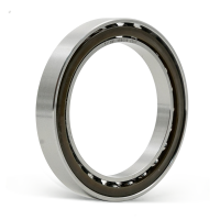 Flexible bearings