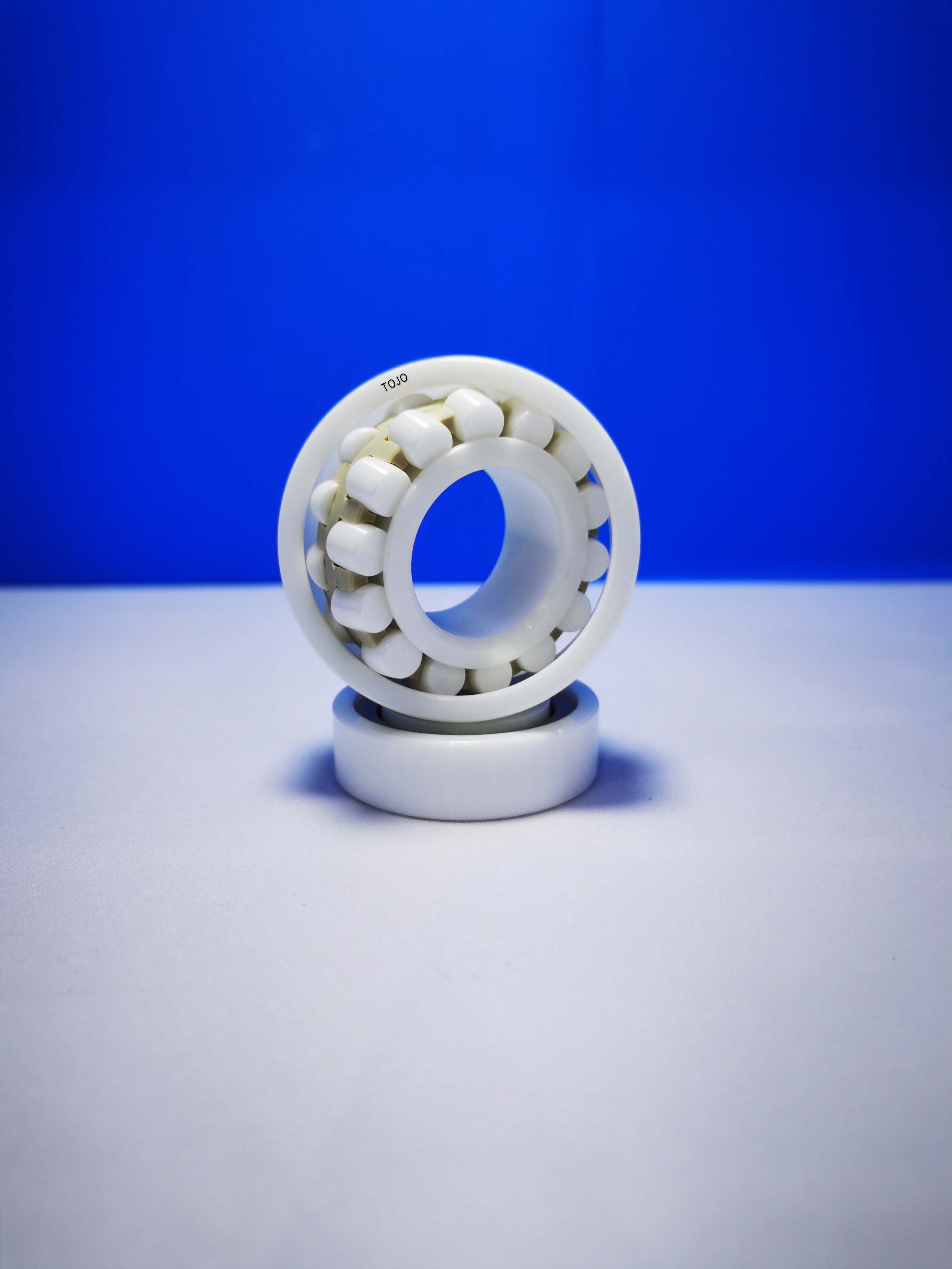 Ceramic Full Cylindrical Roller Bearings