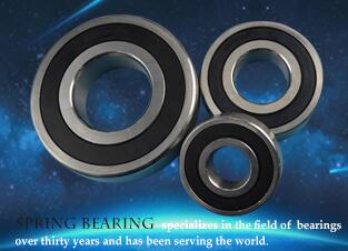 Stainless Steel Bearing
