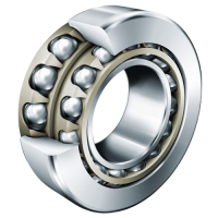 Stainless Steel Double-Row Angular Contact Ball Bearing