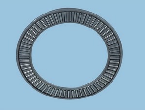 Thrust needle roller bearing