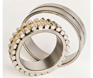 cylindrical roller bearing