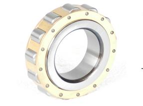 Cylindrical Roller Bearing