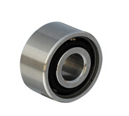 Stainless Steel Double Row Ball Bearing