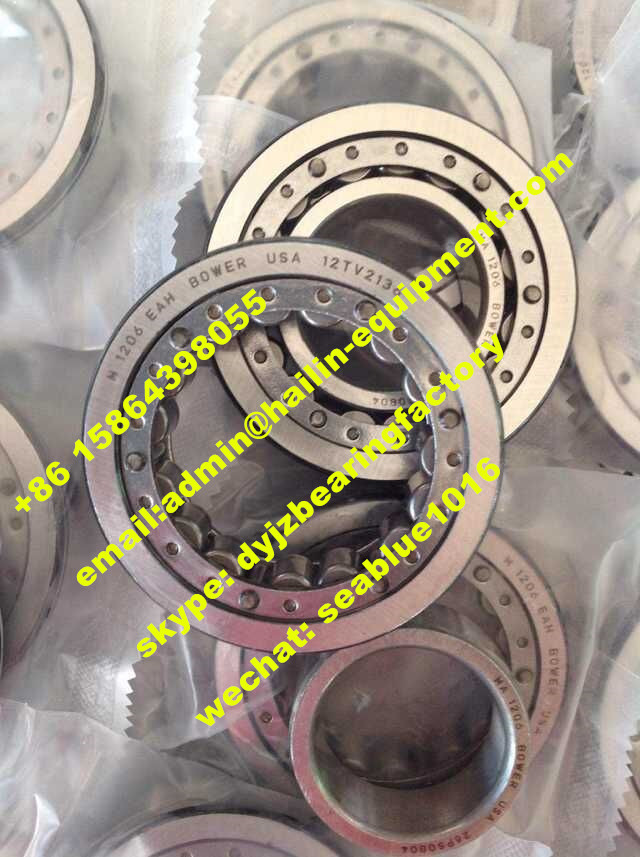 BS225560