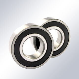 Stainless Steel Deep Groove Ball Bearing SS 6000 Series