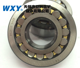 Oil nozzle pump bearings