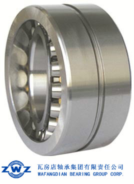 Shearer bearing