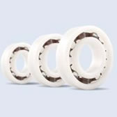 Glass Ball Series Plastic Bearings