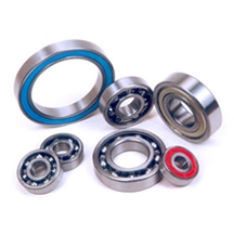 bearing 6300