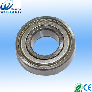 SS6002ZZ Ball Bearing