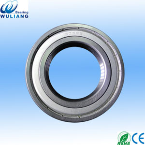 SS6007zz Ball bearing