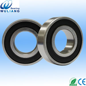 SS6205ZZ ball bearing