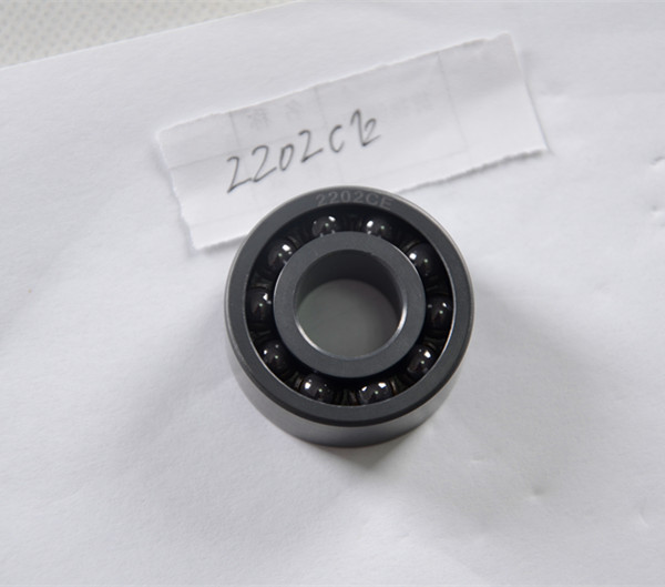 ceramic bearing 2202