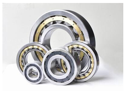 Separate filled Cylindrical Roller Bearing SL1829series