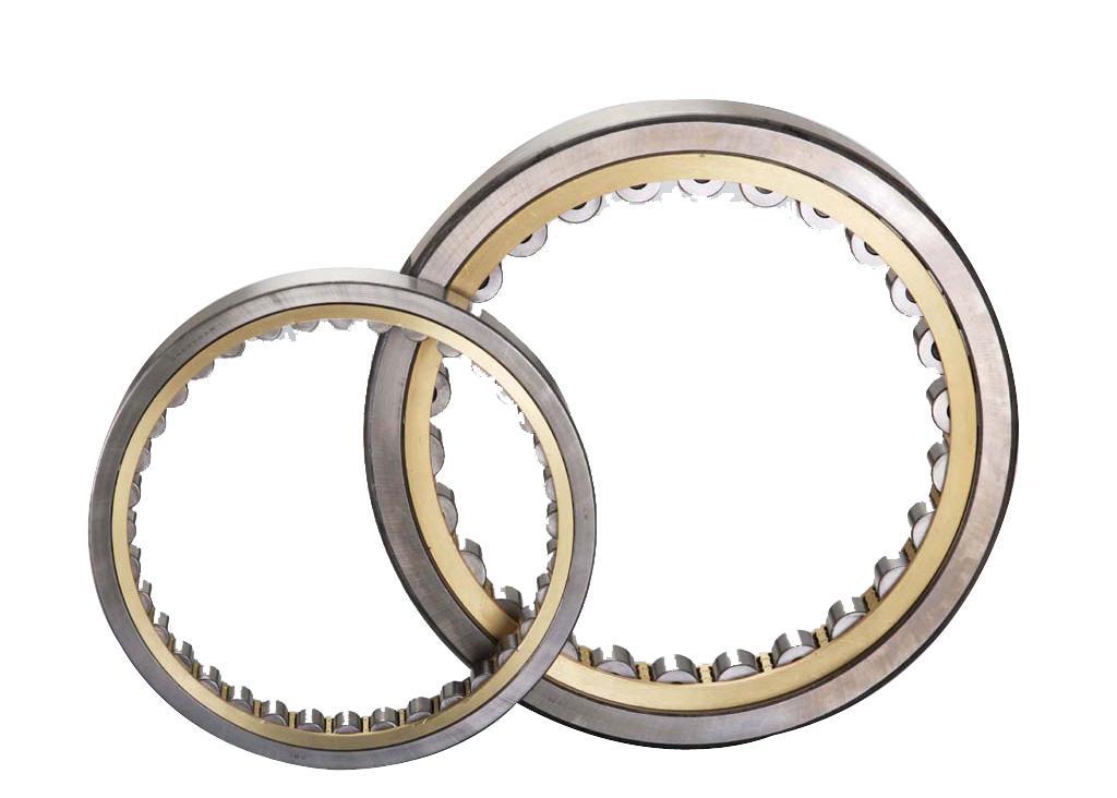 Separate filled Cylindrical Roller Bearings SL1829