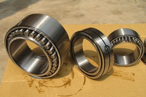 Double Row Full Complement Cylindrical Roller Bearings SL185028