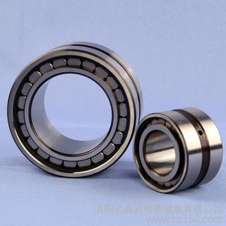 Double row cylindrical roller bearings SL184944